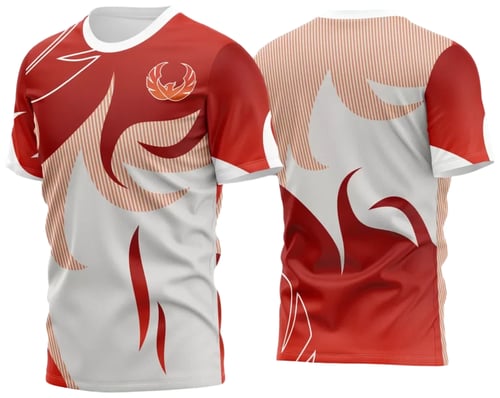 Arte Estampa Camisa Game 2024 - 2025