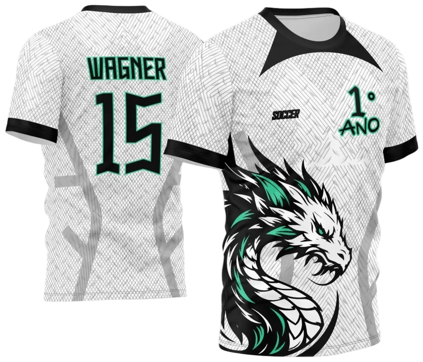 Arte Estampa Camisa InterClasse 2024 Dragão