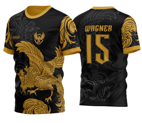 Arte Vetor Camisa InterClasse Fenix 2024