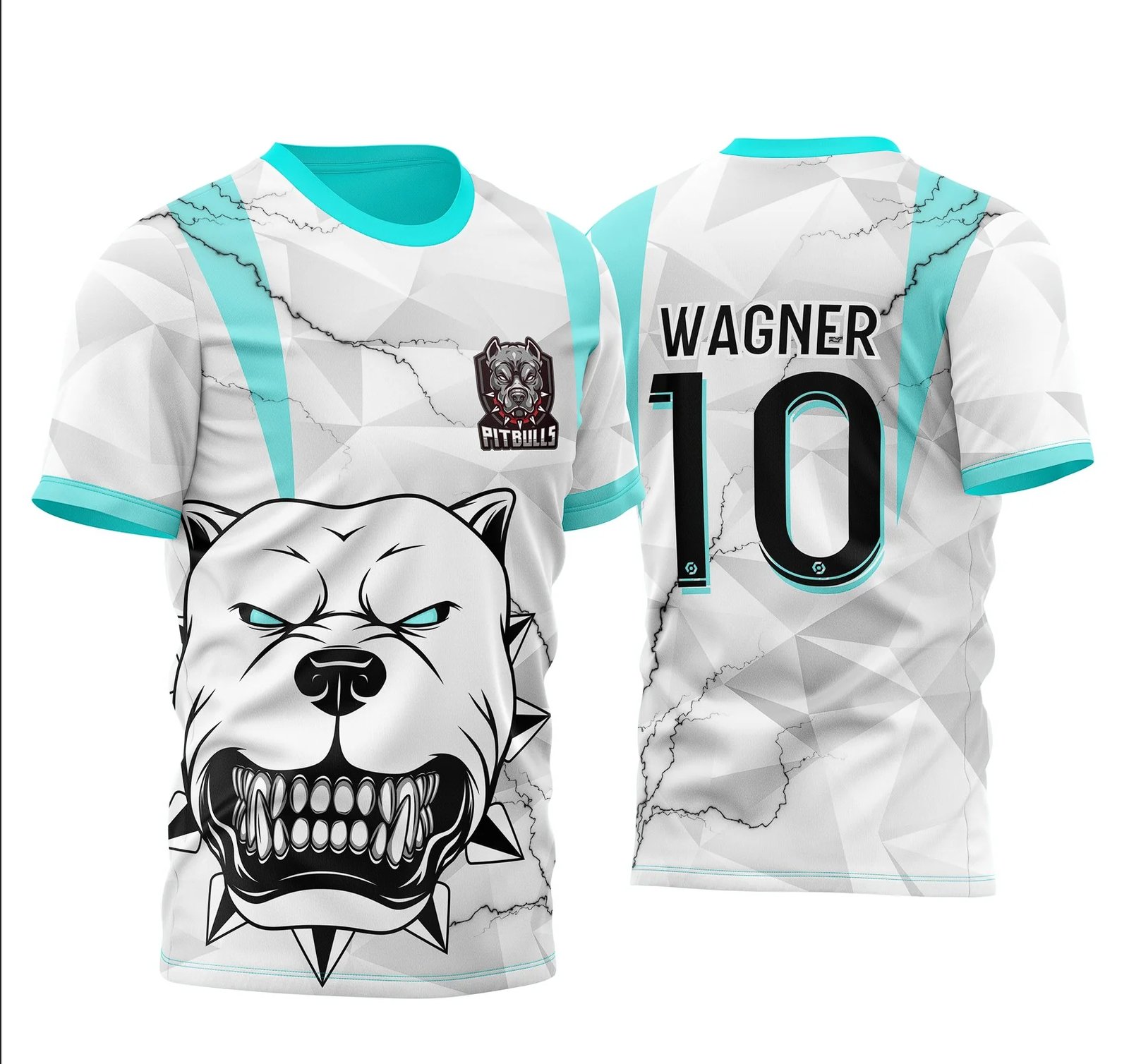 Arte Vetor Camisa InterClasse Pitbull 2025 Branca e Azul