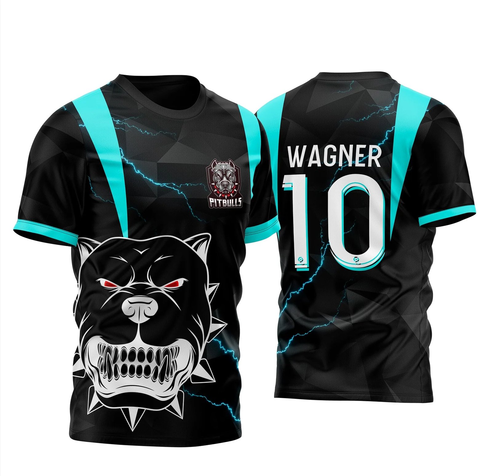 Arte Vetor Camisa InterClasse Pitbull 2025 Preta e Azul