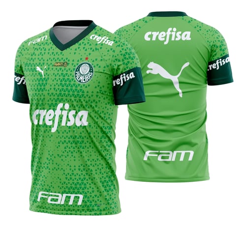 Arte Vetor Camisa Palmeiras Treino I 2024 - 2025
