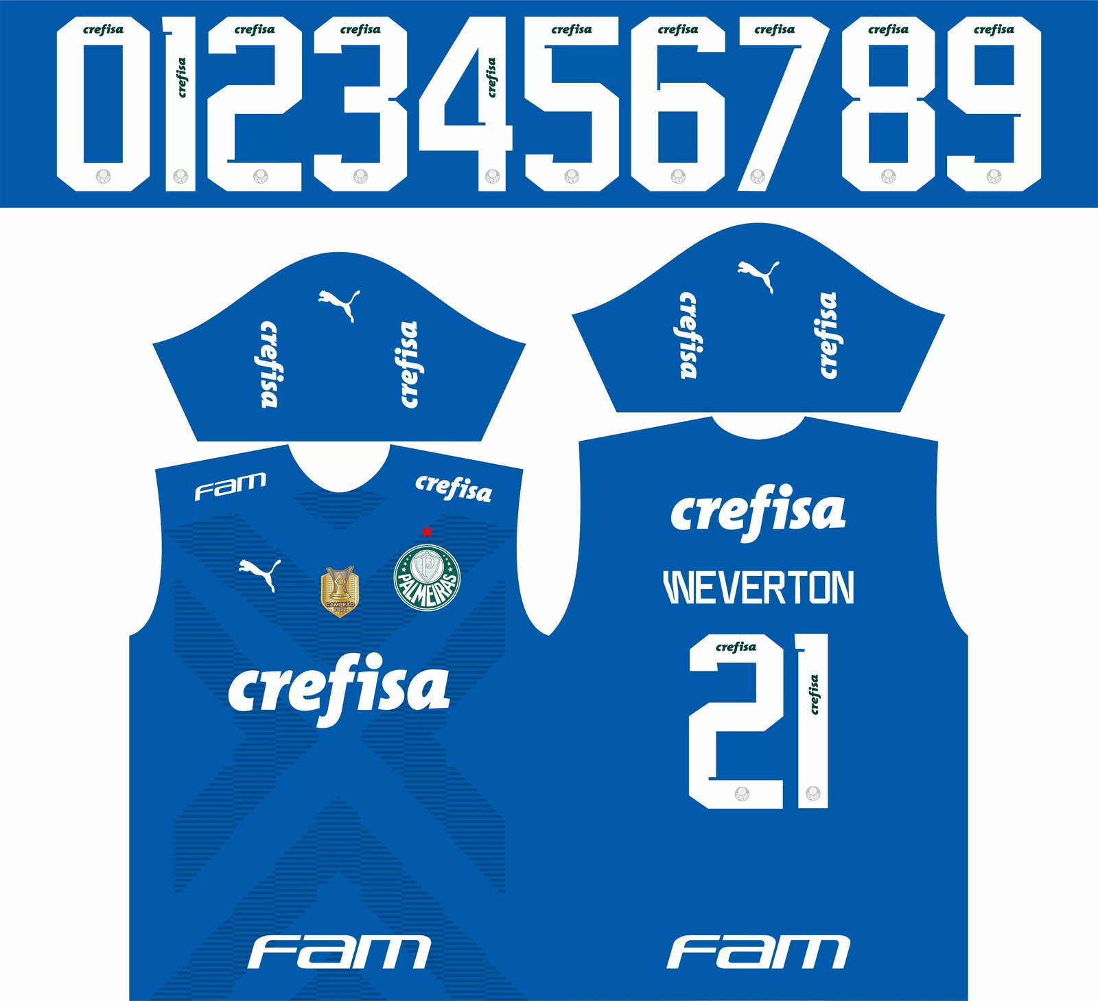 Arte Vetor Camisa Time Palmeiras Goleiro 2023