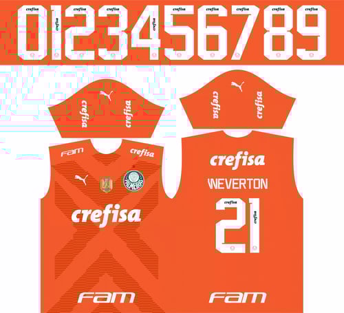 Arte Vetor Camisa Time Palmeiras Goleiro 2023 Arte Vetor Camisa Time Palmeiras Goleiro 2023