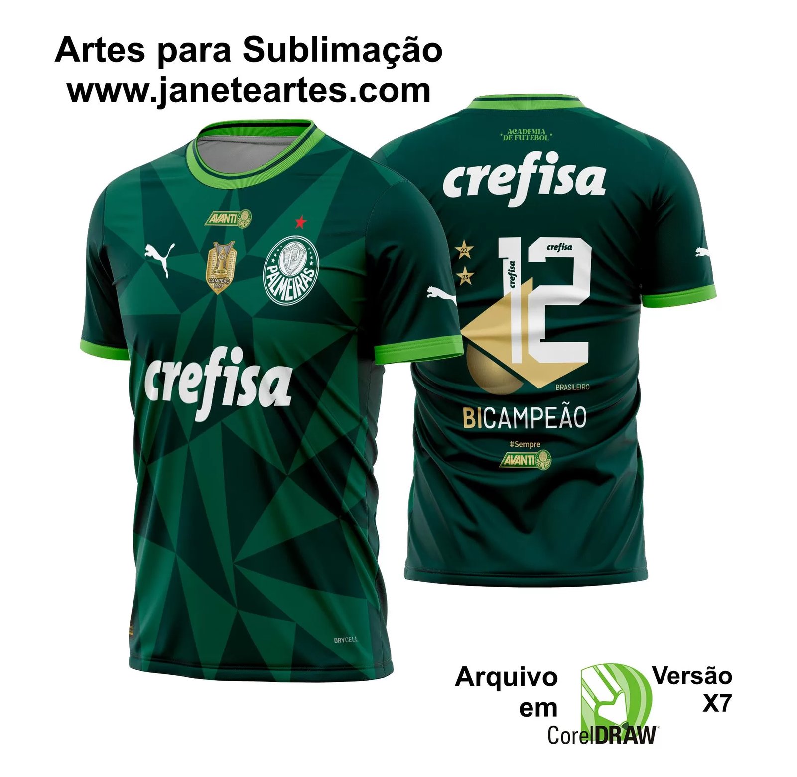 Arte Vetor Camisa Palmeiras Titular BiCampeão 2023 - 2024