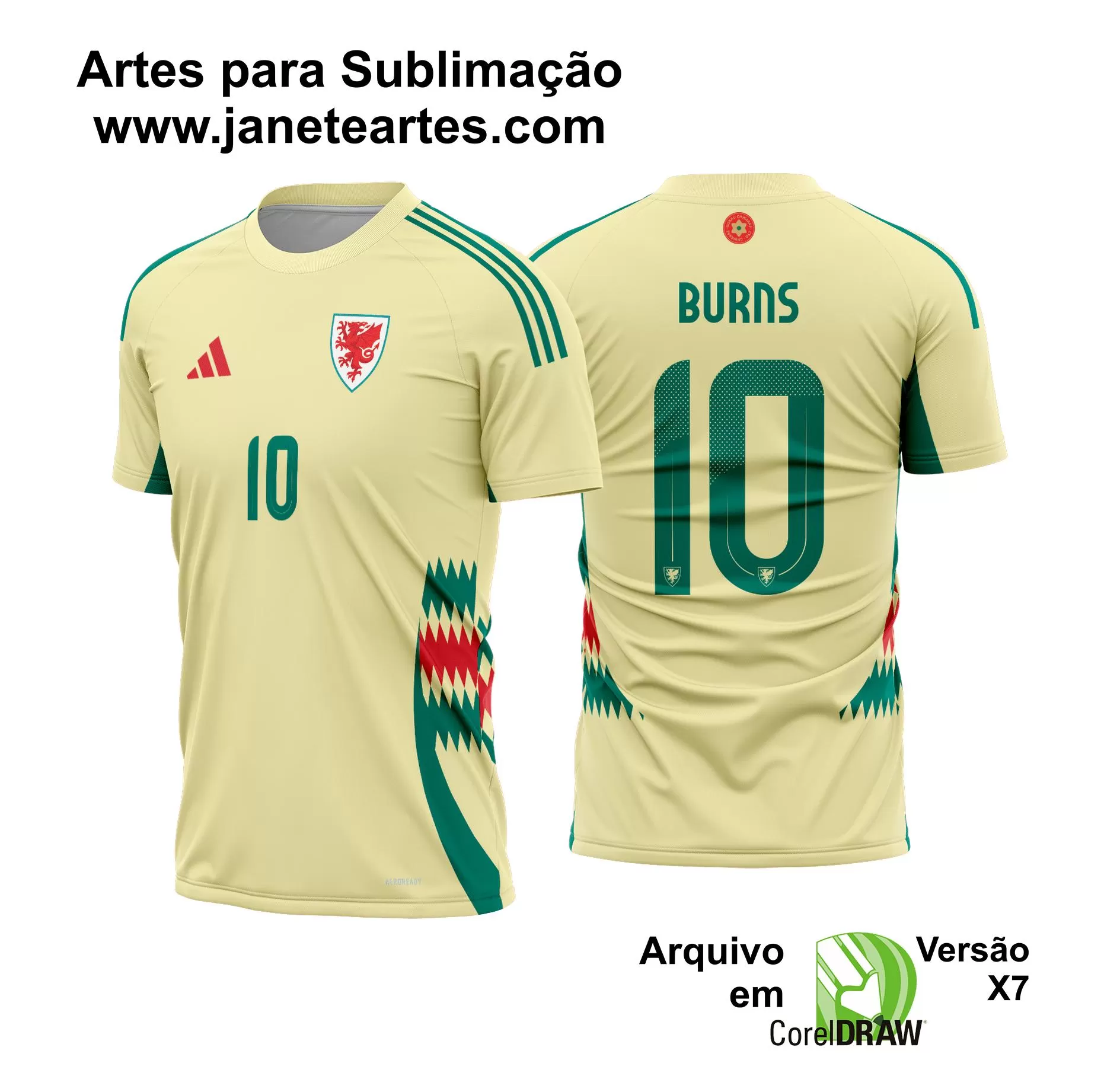Arte Vetor Camisa Pais de Gales Reserva 2024 - 2025