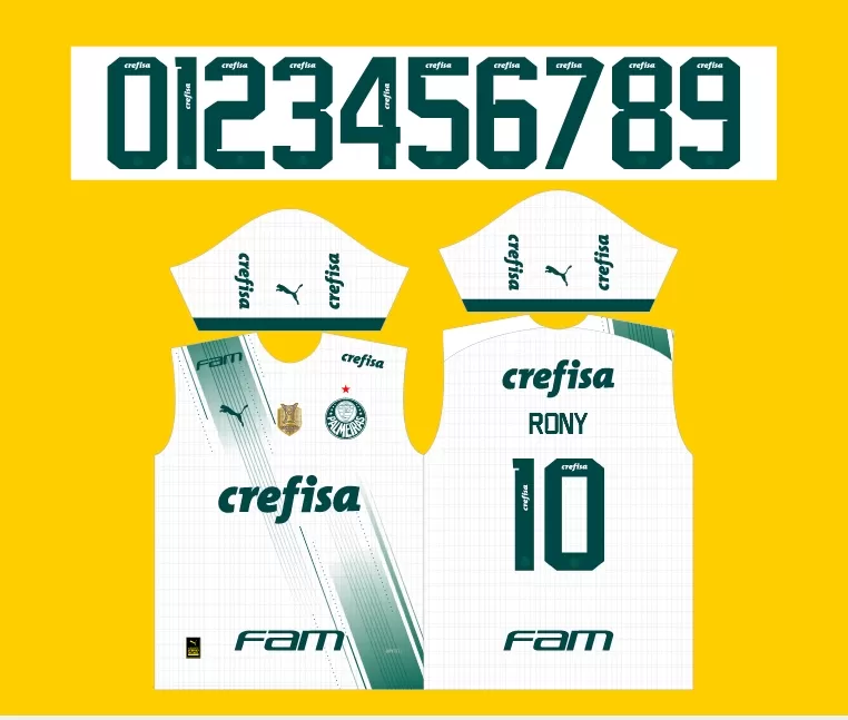 Camisa de Futebol Palmeiras 2024