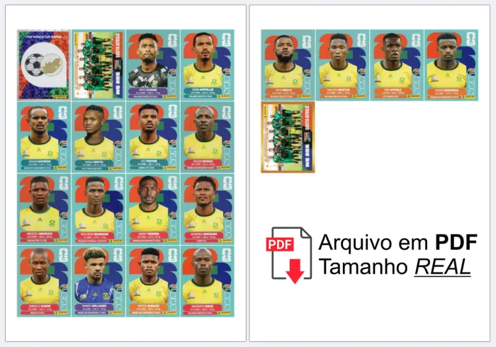 folha A4 com as figurinhas da Seleção Completa AFRICA organizadas, prontas para recortar e colar no álbum, alta definição.